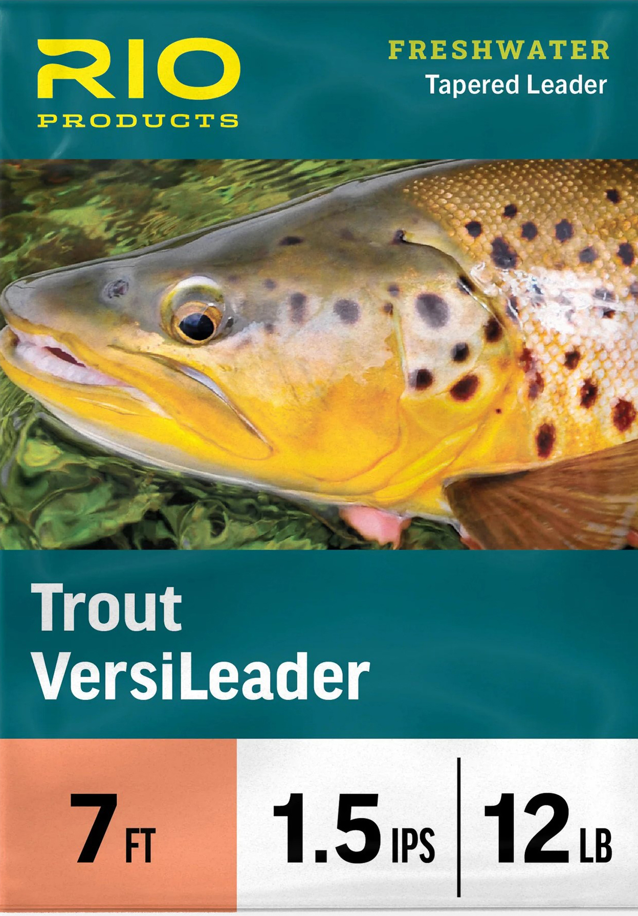 Trout Versi Leaders
