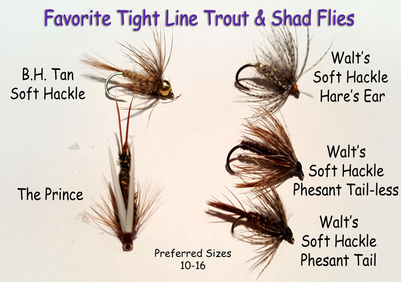 Trout Spey Flys