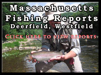 Deerfield River Fishing Reports