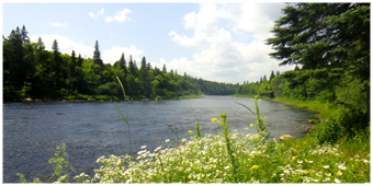 Spey Fsihing New Brunswick